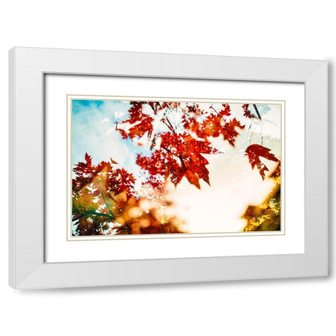 Autumn Leaves White Modern Wood Framed Art Print with Double Matting by Malone, Will