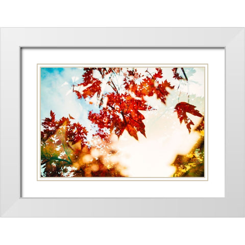 Autumn Leaves White Modern Wood Framed Art Print with Double Matting by Malone, Will