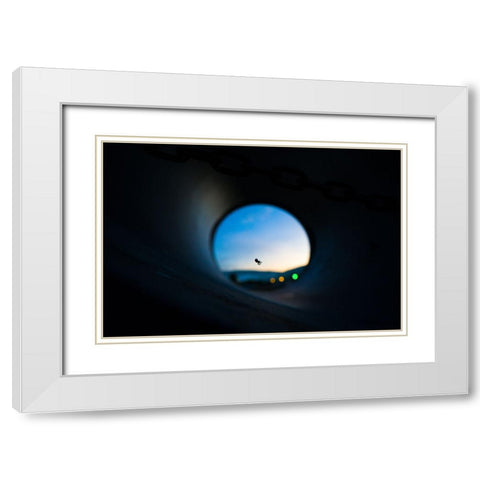 Spider White Modern Wood Framed Art Print with Double Matting by Malone, Will