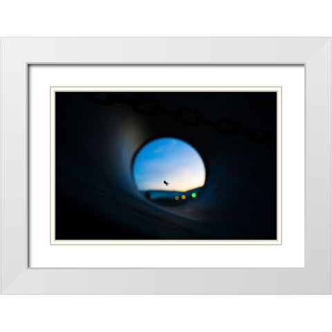 Spider White Modern Wood Framed Art Print with Double Matting by Malone, Will