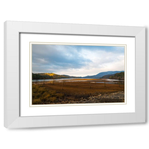 Dried Out White Modern Wood Framed Art Print with Double Matting by Malone, Will