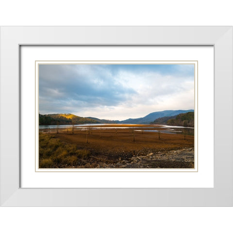 Dried Out White Modern Wood Framed Art Print with Double Matting by Malone, Will