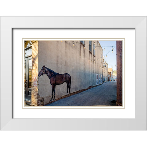 Horse Alley White Modern Wood Framed Art Print with Double Matting by Malone, Will