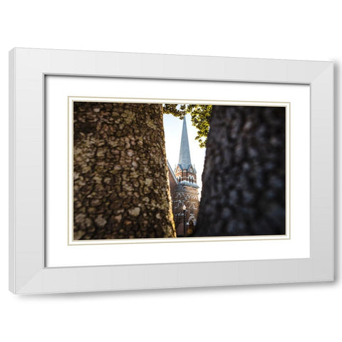 Through the Trees White Modern Wood Framed Art Print with Double Matting by Malone, Will