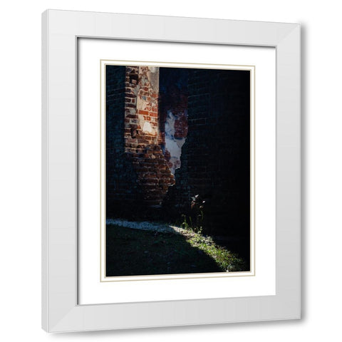 Sunlight White Modern Wood Framed Art Print with Double Matting by Malone, Will