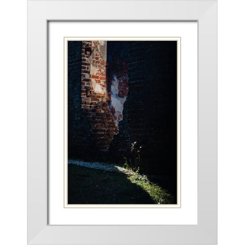 Sunlight White Modern Wood Framed Art Print with Double Matting by Malone, Will