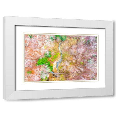 Aerial Creek White Modern Wood Framed Art Print with Double Matting by Malone, Will
