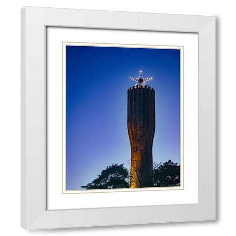 Belton Strong White Modern Wood Framed Art Print with Double Matting by Malone, Will