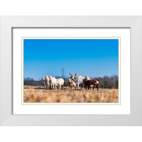 Drawing a Crowd White Modern Wood Framed Art Print with Double Matting by Malone, Will