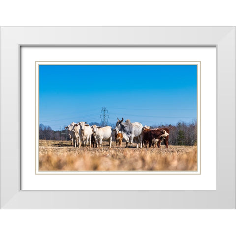 Drawing a Crowd 2 White Modern Wood Framed Art Print with Double Matting by Malone, Will