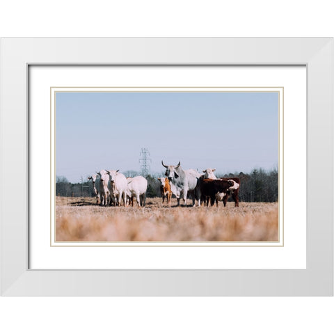 Drawing a Crowd Re-edit White Modern Wood Framed Art Print with Double Matting by Malone, Will
