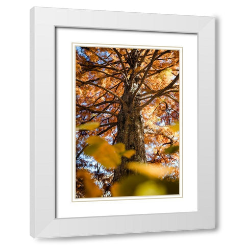 Grand Fall White Modern Wood Framed Art Print with Double Matting by Malone, Will