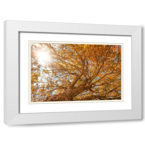 Grand Fall 2 White Modern Wood Framed Art Print with Double Matting by Malone, Will