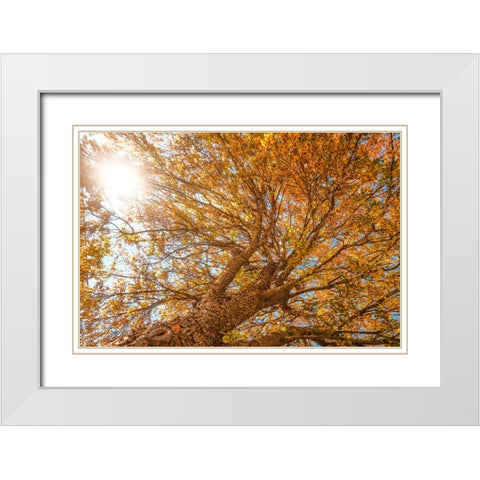 Grand Fall 2 White Modern Wood Framed Art Print with Double Matting by Malone, Will