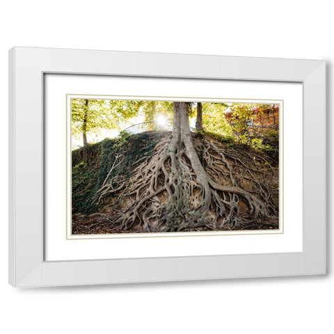 Roots White Modern Wood Framed Art Print with Double Matting by Malone, Will