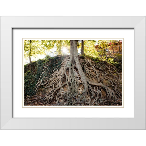 Roots White Modern Wood Framed Art Print with Double Matting by Malone, Will