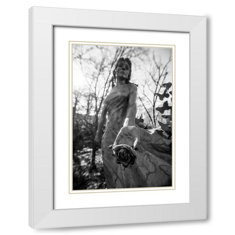 Take a Flower White Modern Wood Framed Art Print with Double Matting by Malone, Will