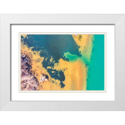 Savannah White Modern Wood Framed Art Print with Double Matting by Malone, Will
