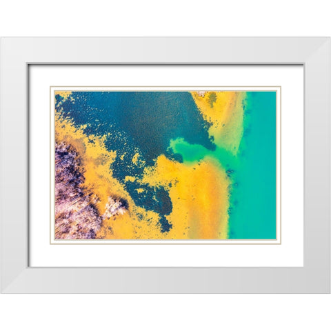 Savannah 2 White Modern Wood Framed Art Print with Double Matting by Malone, Will