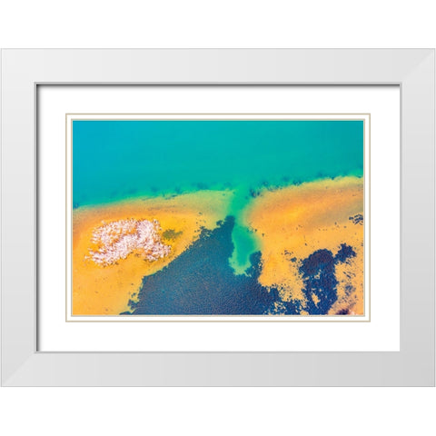 Savannah 4 White Modern Wood Framed Art Print with Double Matting by Malone, Will