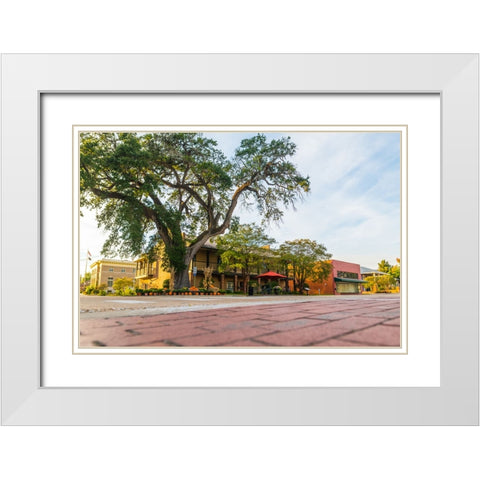 City Hall White Modern Wood Framed Art Print with Double Matting by Malone, Will