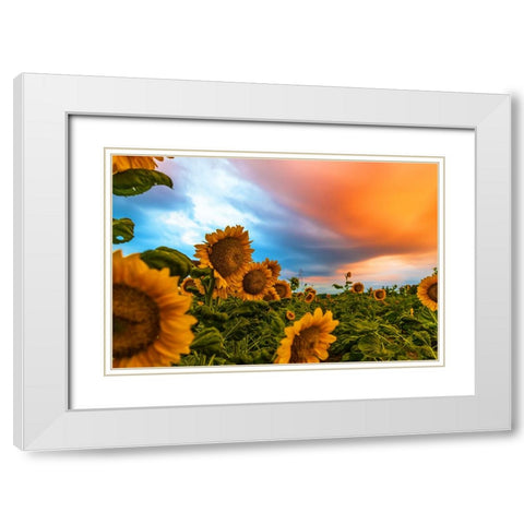 Denver Downs Sunrise White Modern Wood Framed Art Print with Double Matting by Malone, Will