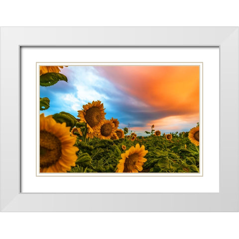 Denver Downs Sunrise White Modern Wood Framed Art Print with Double Matting by Malone, Will