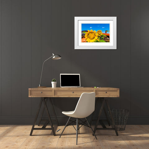 Denver Downs Sunflowers 3 White Modern Wood Framed Art Print with Double Matting by Malone, Will