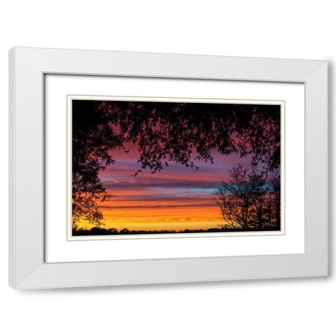 Backyard Sun White Modern Wood Framed Art Print with Double Matting by Malone, Will