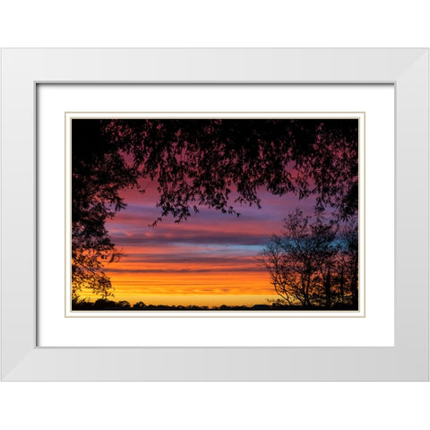 Backyard Sun White Modern Wood Framed Art Print with Double Matting by Malone, Will