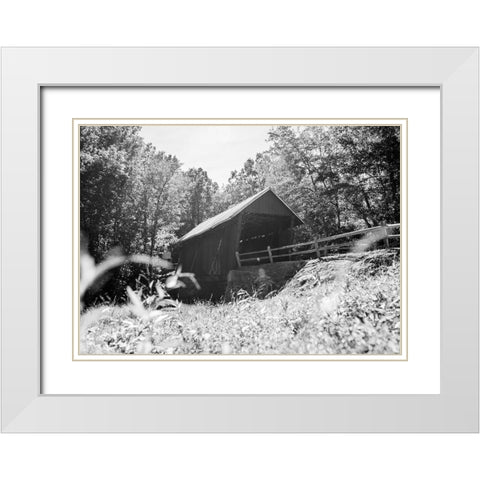 Campbells Covered Monochrome White Modern Wood Framed Art Print with Double Matting by Malone, Will