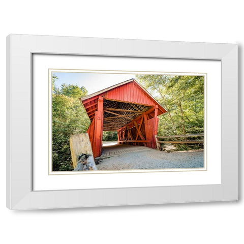 Campbells Covered 3 White Modern Wood Framed Art Print with Double Matting by Malone, Will
