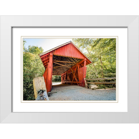 Campbells Covered 3 White Modern Wood Framed Art Print with Double Matting by Malone, Will