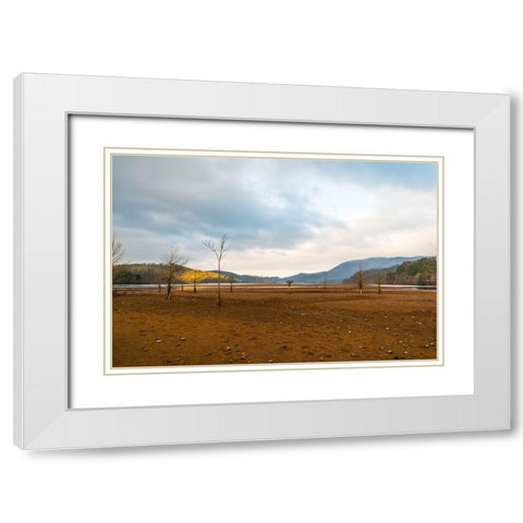 Dried Out 2 White Modern Wood Framed Art Print with Double Matting by Malone, Will
