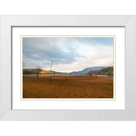 Dried Out 2 White Modern Wood Framed Art Print with Double Matting by Malone, Will