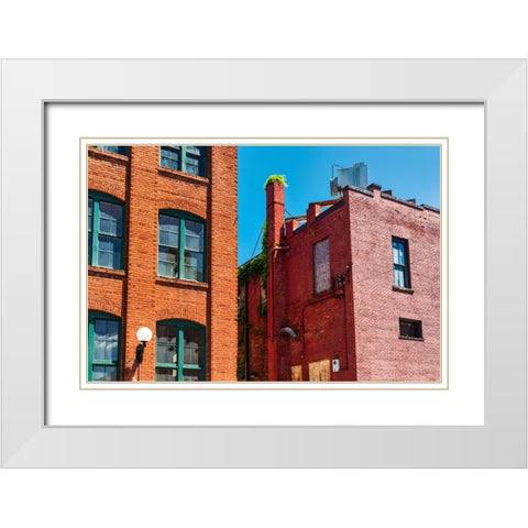 Palmetto Alley White Modern Wood Framed Art Print with Double Matting by Malone, Will