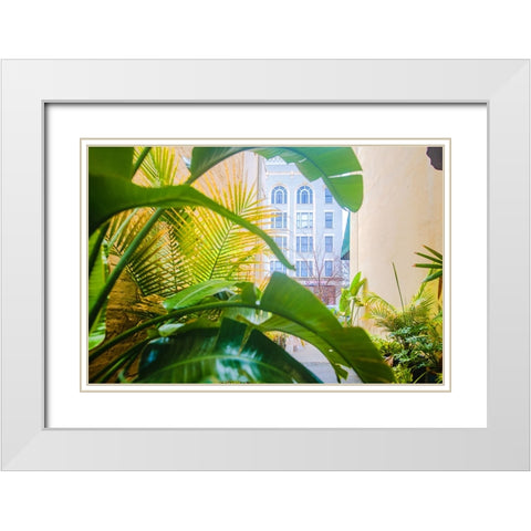 Thomasville Jungle White Modern Wood Framed Art Print with Double Matting by Malone, Will