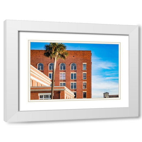 Thomasville Strip 2 White Modern Wood Framed Art Print with Double Matting by Malone, Will