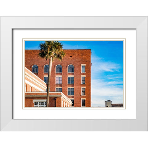 Thomasville Strip 2 White Modern Wood Framed Art Print with Double Matting by Malone, Will