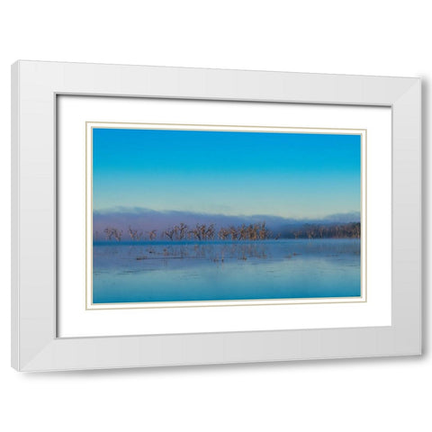 Tired Creek Morning 2 White Modern Wood Framed Art Print with Double Matting by Malone, Will