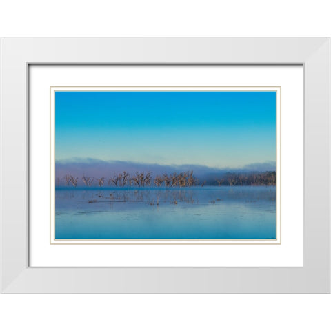 Tired Creek Morning 2 White Modern Wood Framed Art Print with Double Matting by Malone, Will