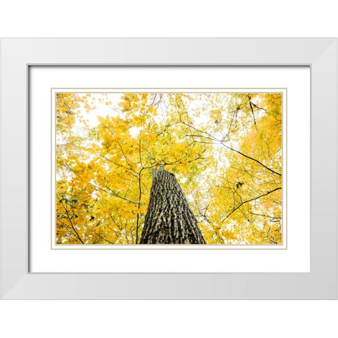 Yellow 2B White Modern Wood Framed Art Print with Double Matting by Malone, Will