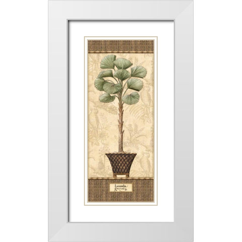 Botanical Palm I White Modern Wood Framed Art Print with Double Matting by Audrey, Charlene