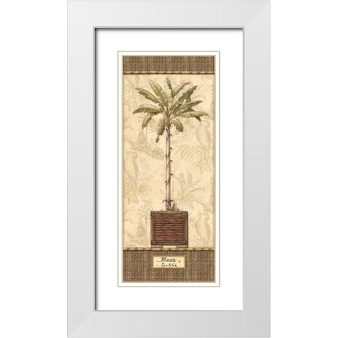 Botanical Palm IV White Modern Wood Framed Art Print with Double Matting by Audrey, Charlene