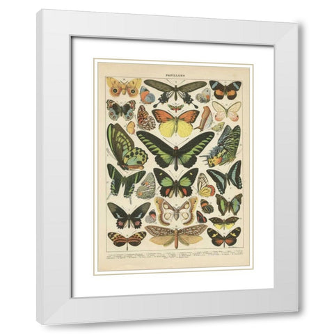 Papillons II White Modern Wood Framed Art Print with Double Matting by Babbitt, Gwendolyn