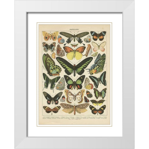 Papillons II White Modern Wood Framed Art Print with Double Matting by Babbitt, Gwendolyn