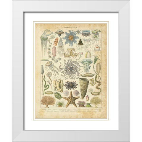 Oceanographie White Modern Wood Framed Art Print with Double Matting by Babbitt, Gwendolyn