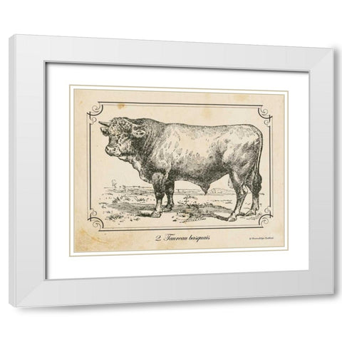 Farm Bull II White Modern Wood Framed Art Print with Double Matting by Babbitt, Gwendolyn