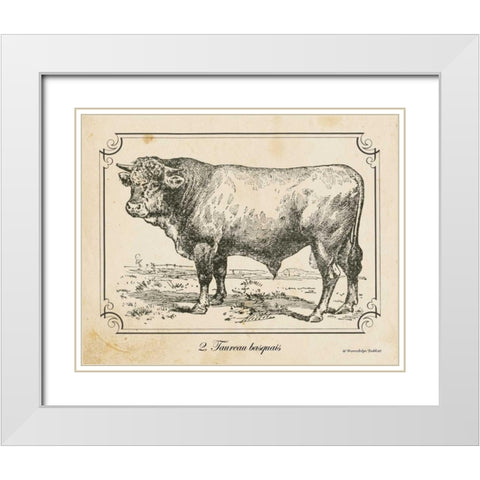 Farm Bull II White Modern Wood Framed Art Print with Double Matting by Babbitt, Gwendolyn