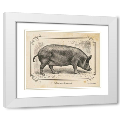 Farm Pig I White Modern Wood Framed Art Print with Double Matting by Babbitt, Gwendolyn